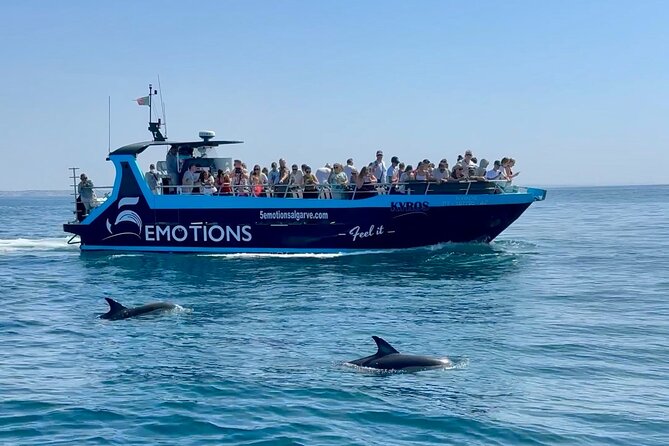 Portimão : 2.5 hours — Dolphins Watching — Biologist on Board - Key things to know before you go
