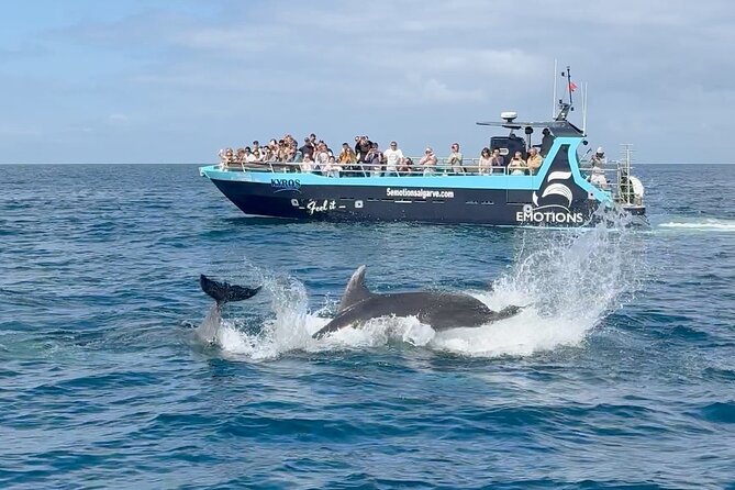 Portimão : 2.5 hours — Dolphins Watching — Biologist on Board - Where you meet (and why it matters): 5emotionsalgarve Marina de Portimão