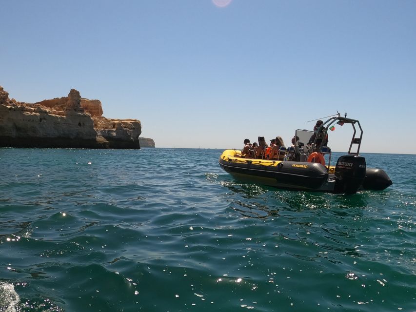 Portimão: 2-Hour Dolphin Watching Boat Tour - Portimão departure: where the tour starts and what you’ll need