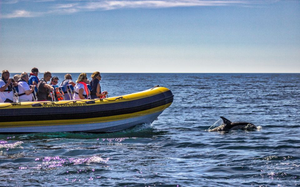 Portimão: 2-Hour Dolphin Watching Boat Tour - Benagil Caves from the coast: what you’ll actually get to see