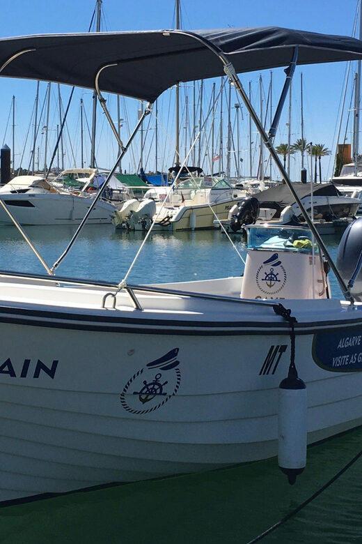 Portimão: Caves, Benagil and Algarve Coastline Boat Tour - Who Should Book This Tour (and Who Might Skip It)