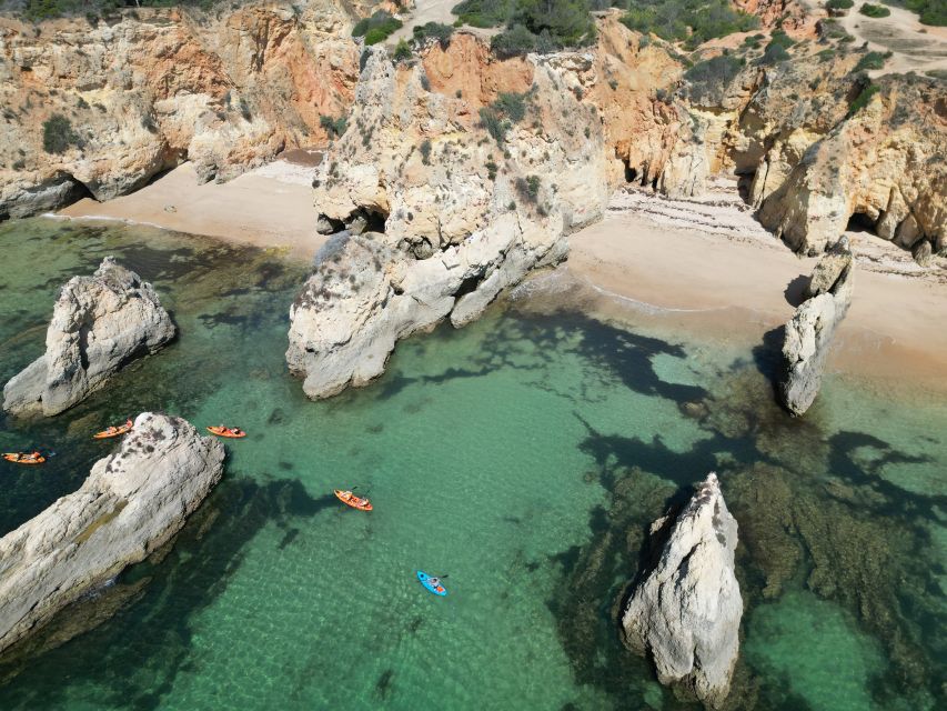 Portimão: Small Group Kayak Cave and Cliff Tour - Guide Skills That Actually Improve the Trip