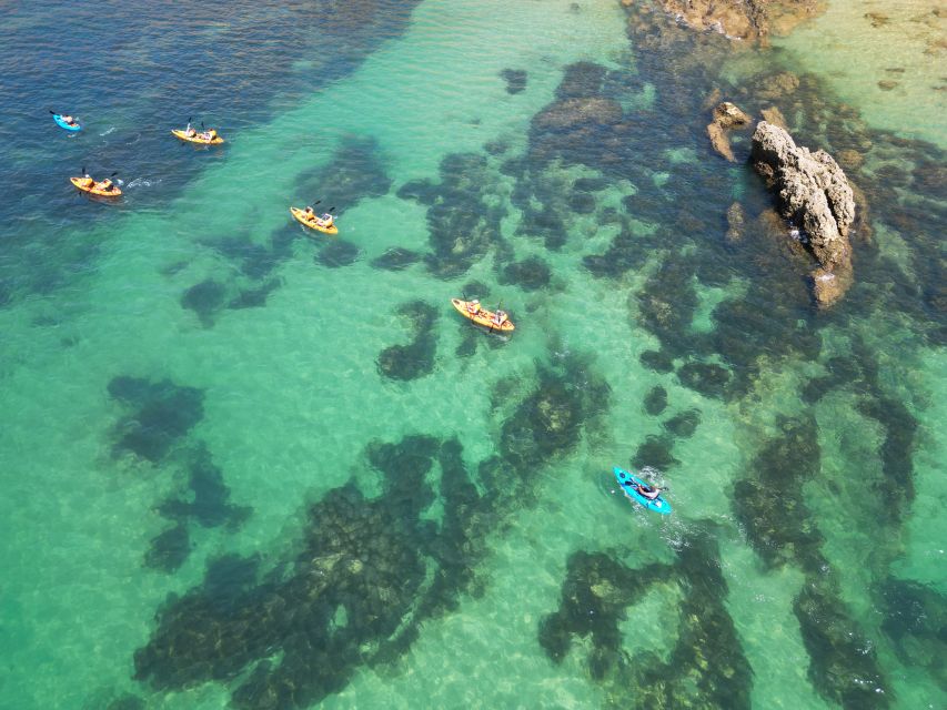 Portimão: Small Group Kayak Cave and Cliff Tour - FAQ