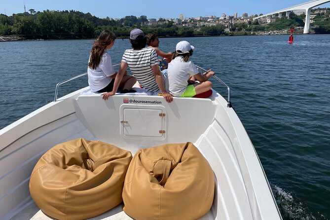 Porto: 2h Private Tour (1 to 6 people) on the Douro River with a local - Six Bridges Up Close: What to Look For as the River Unfolds