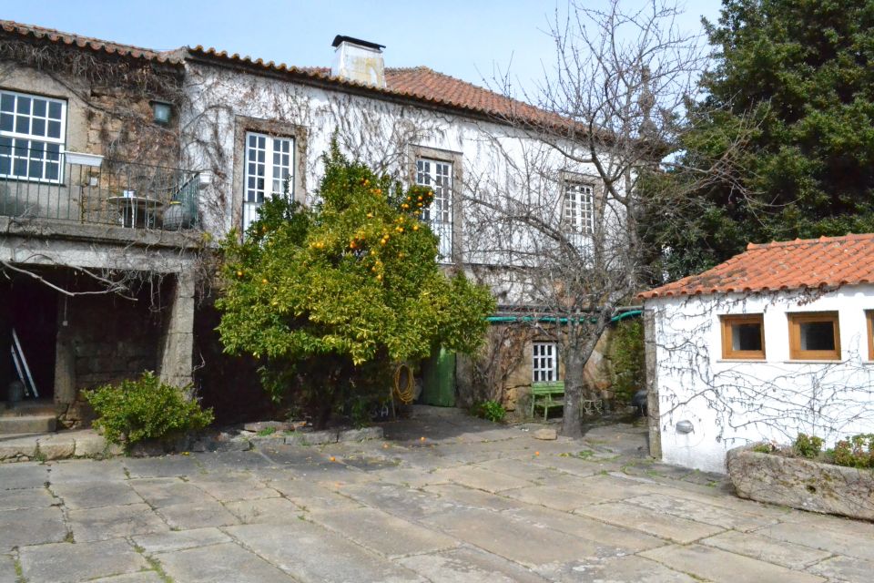 Porto: 3 Douro Valley Vineyards Tour with Lunch - Key highlights worth waking up for