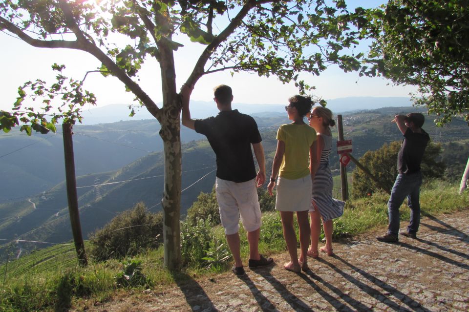 Porto: 3 Douro Valley Vineyards Tour with Lunch - First vineyard stop: family-ownership vibes and port + DOC tasting
