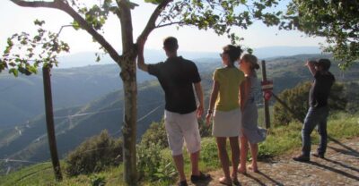 Porto: 3 Douro Valley Vineyards Tour with Lunch - Coffee in the mountains: a quick break before the wine education