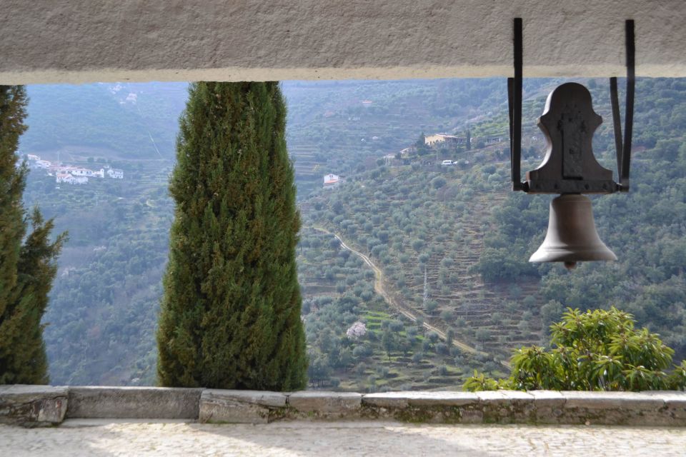 Porto: 3 Douro Valley Vineyards Tour with Lunch - Lunch at the second vineyard: the best break in the middle