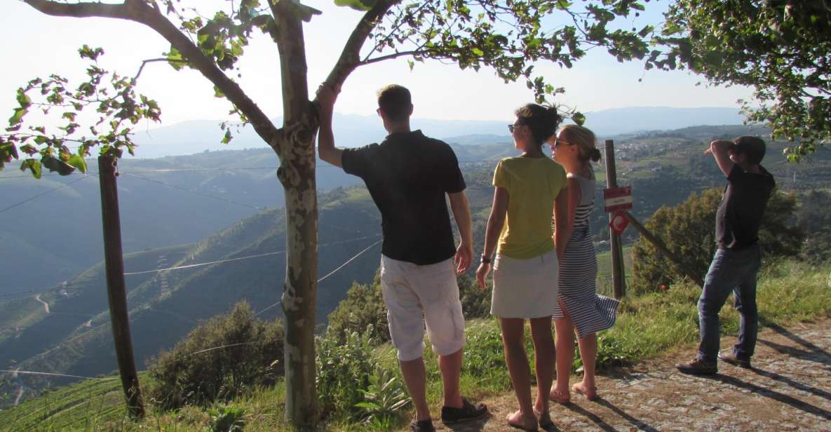 Porto: 3 Douro Valley Vineyards Tour with Lunch - Coffee in the mountains: a quick break before the wine education