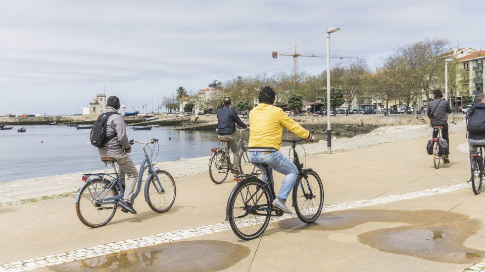 Porto: 3-Hour Bike Tour - Past Foz do Douro Toward Nature: Calém Garden, Estuary Views, and the Bird Spot