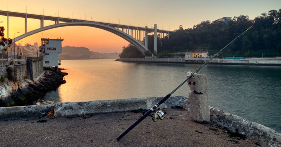Porto: 3-Hour Bike Tour - Beaches and Parks in One Loop: Matosinhos, Parque da Cidade, and Pasteleira Park