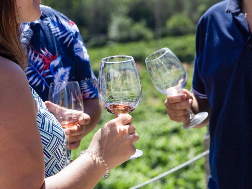 Porto: 3 Wine Regions & Farm Lunch with Views Small-Group - What to Bring (So the Day Feels Easy)