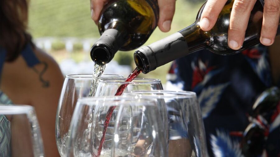 Porto: 3 Wine Regions & Farm Lunch with Views Small-Group - Sabrosa and Vineyard Lunch: Where the Douro Tastes Like It Looks