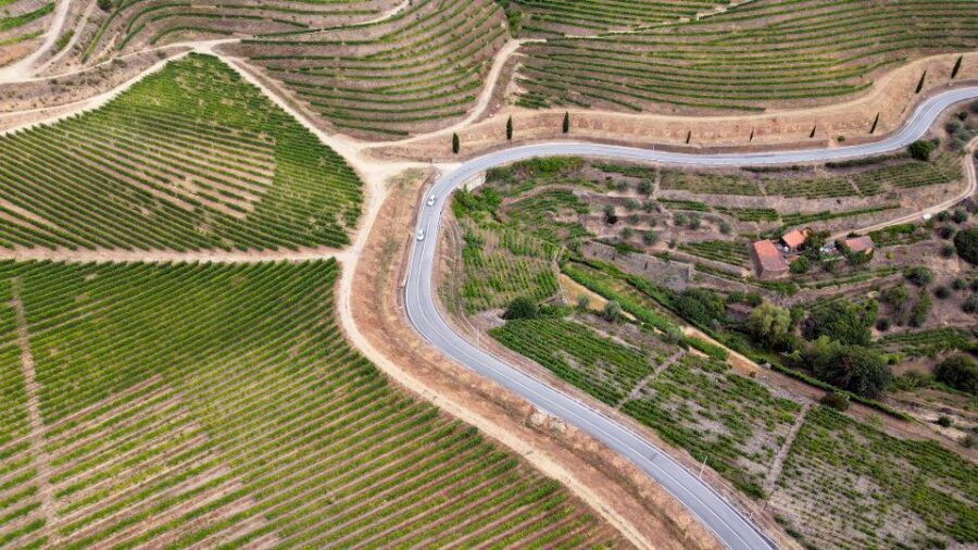 Porto: 3 Wine Regions & Farm Lunch with Views Small-Group - The Second Estate Visit: More Tastings, More Douro Clues