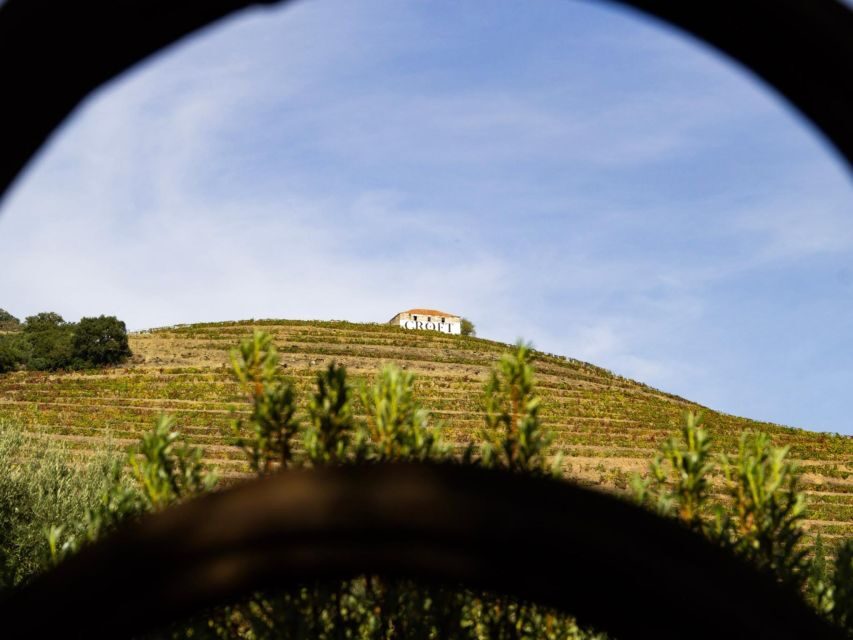 Porto: 3 Wine Regions & Farm Lunch with Views Small-Group - Timing and Pace: Why This Tour Works in 9 Hours