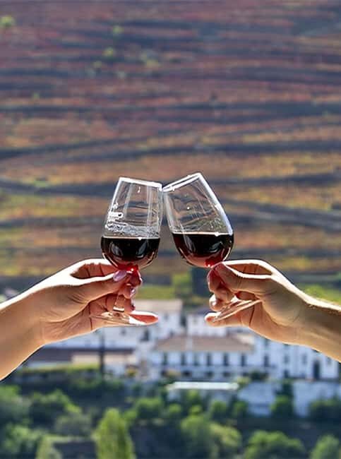 Porto: 3 Wine Regions & Farm Lunch with Views Small-Group - Your Guide Makes the Difference (Look for the Human Touch)