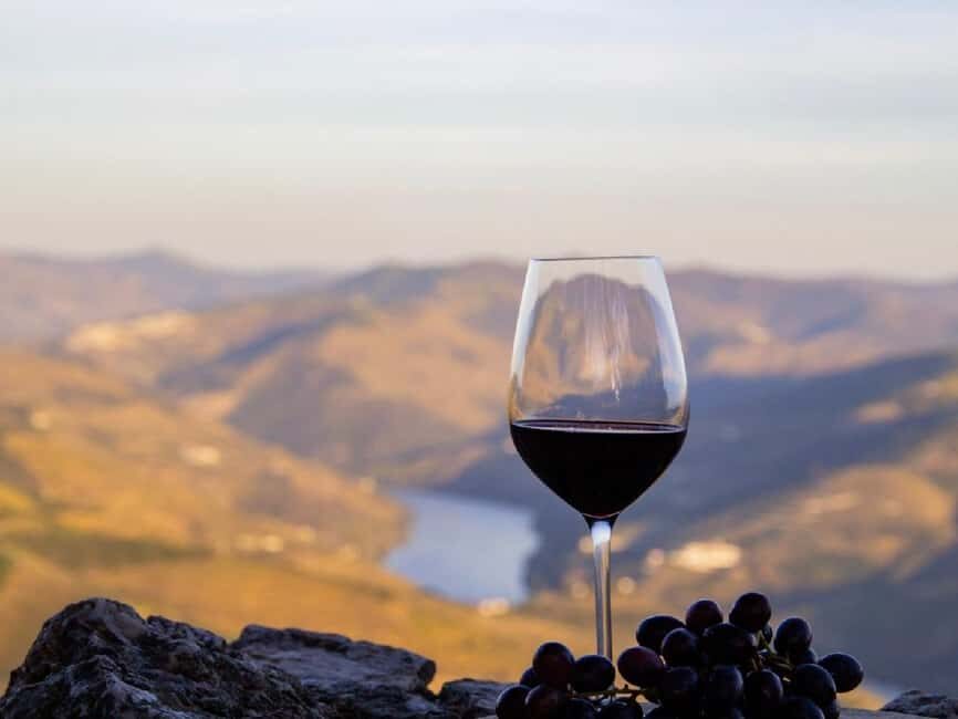 Porto: 3 Wine Regions & Farm Lunch with Views Small-Group - What You Get for the Price (and Why It Often Feels Like Good Value)