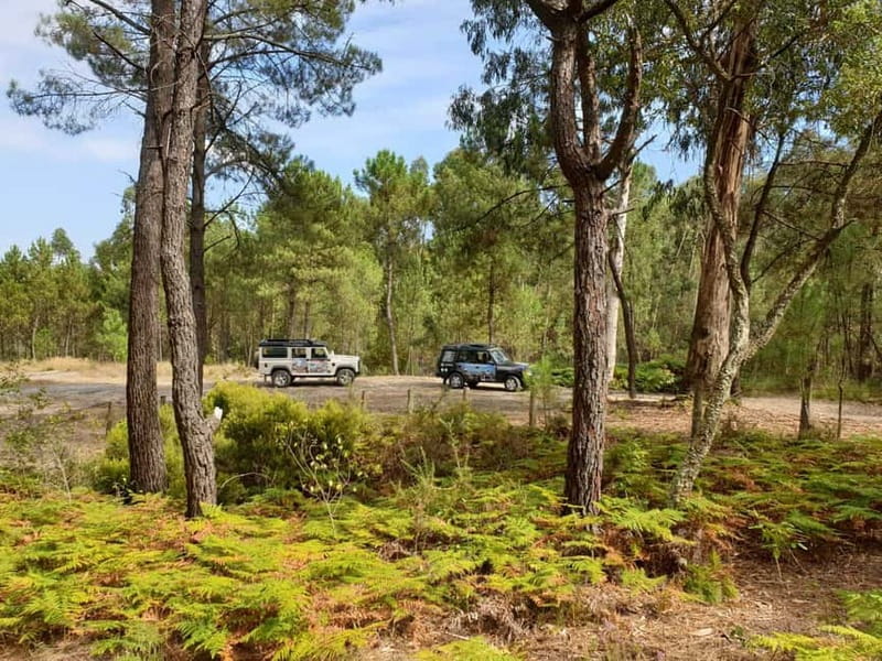 Porto: 4x4 Mountain Tour - The mountain park stops: Roman excavations and the kind of history you can picture