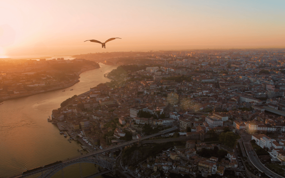 Porto: 5D Flight over de City for all family. - Should you book this 5D flight over Porto?