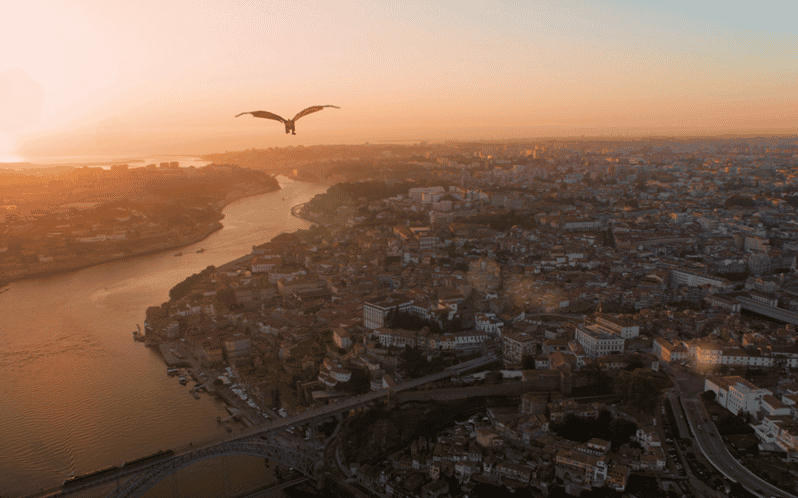 Porto: 5D Flight over de City for all family. - Inside the 5D cinema flight: what you’ll feel and see