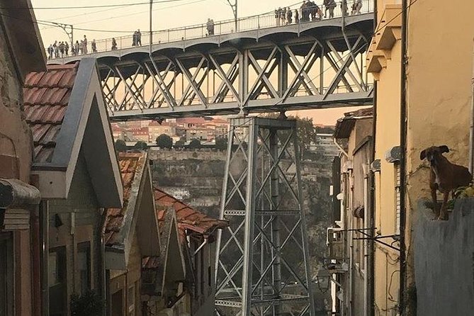Porto, Aveiro and Costa Nova Private Tour From Lisbon - Porto highlights in a panoramic loop: what you’ll actually see