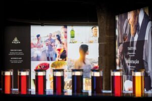Porto: Cálem Cellar Tour, Interactive Museum & Wine Tasting - The 15-Minute Interactive Museum: Smell, Color, and the Douro Story