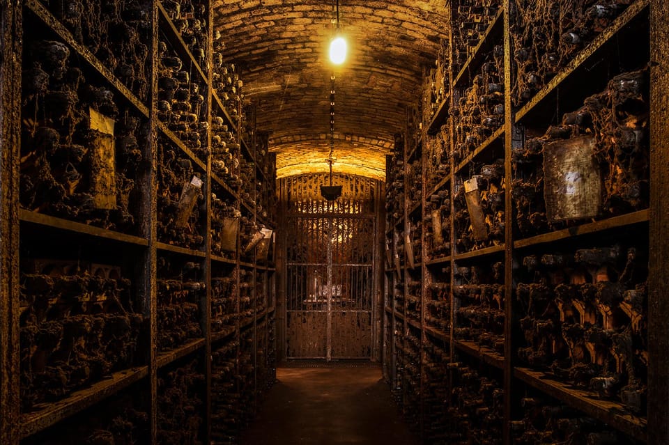Porto: Carvalhas cellar tour at Real Companhia Velha - Key highlights to look for