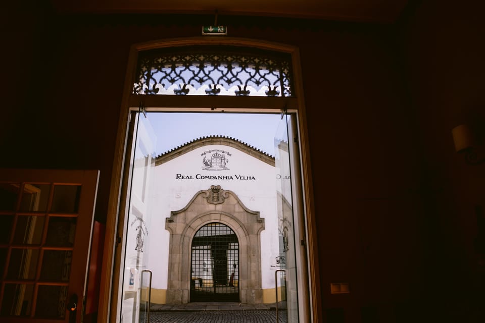 Porto: Carvalhas cellar tour at Real Companhia Velha - What the guide actually does (and why it works)