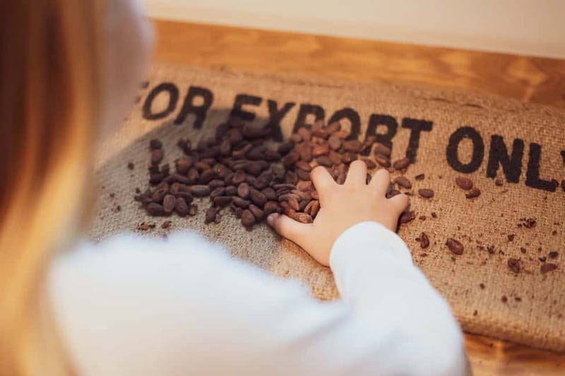 Porto: Chocolate Museum - Unwrap the Secrets of Chocolate - Entering The Chocolate Story: timing and how the 90 minutes flows