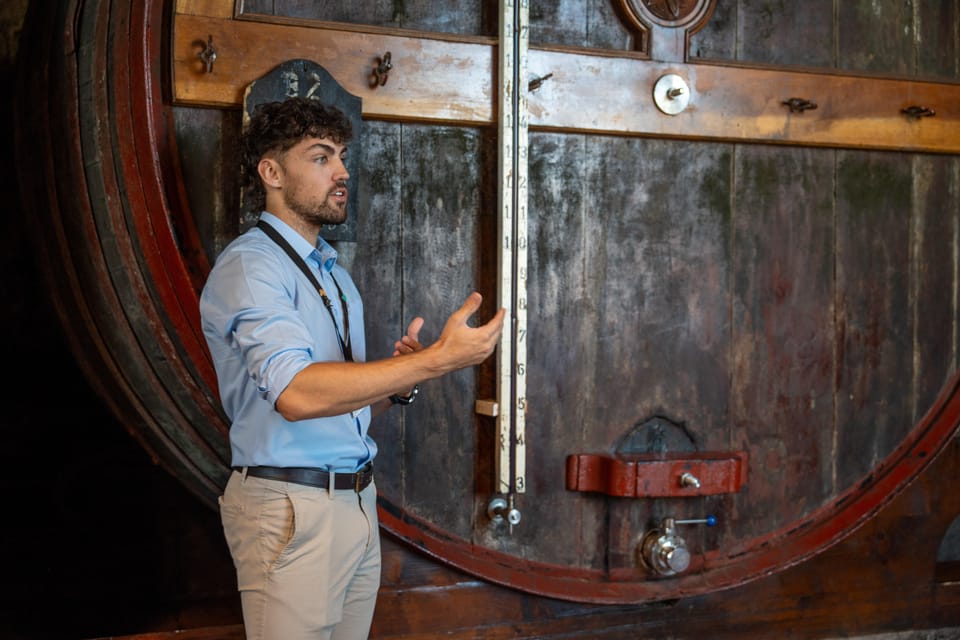 Porto City Full Day Minibus Tour, Wine Tasting & Six Brigdes - Port Wine Cellar Visit: How the Process Comes Together
