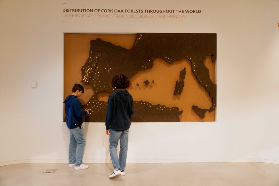 Porto: Cork Museum: Immersive and Perfect for Families - Practical Tips for a Smoother Visit