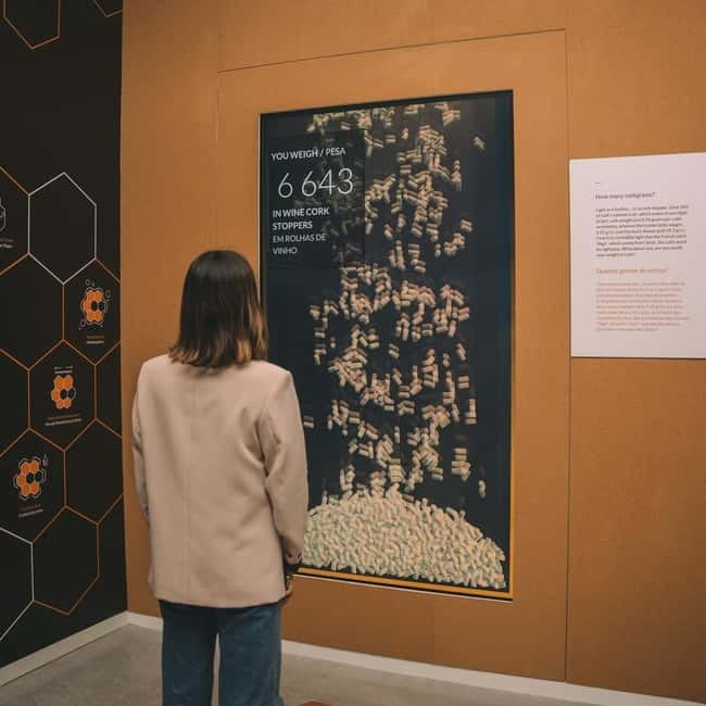 Porto: Cork Museum: Immersive and Perfect for Families - Interactive Exhibitions and Multimedia: How the Story Is Told