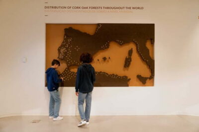Porto: Cork Museum: Immersive and Perfect for Families - Your 90-Minute Game Plan (And Why It Works)