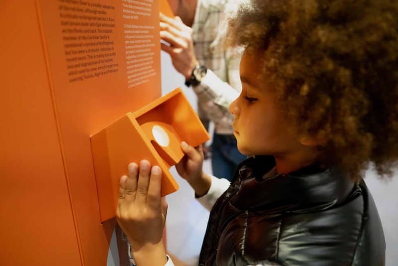 Porto: Cork Museum: Immersive and Perfect for Families - Sensory Activities: Touch and Smell Raw Cork