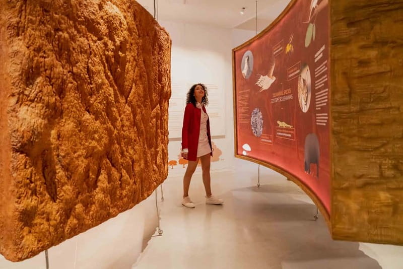Porto: Cork Museum: Immersive and Perfect for Families - The Personalized Cork Stopper Moment (And What If It’s Down)