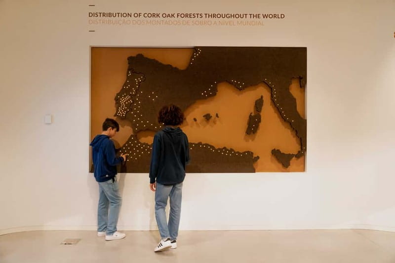 Porto: Cork Museum: Immersive and Perfect for Families - Your 90-Minute Game Plan (And Why It Works)