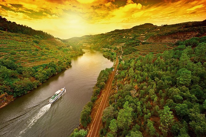 Porto: Day Trip to Douro including lunch and Rivercruise - Winery and vineyard walking: Port culture, plus actual tasting time
