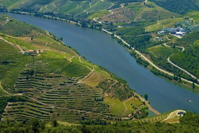 Porto: Day Trip to Douro including lunch and Rivercruise - Pinhão: the cruise stop that turns scenery into an experience