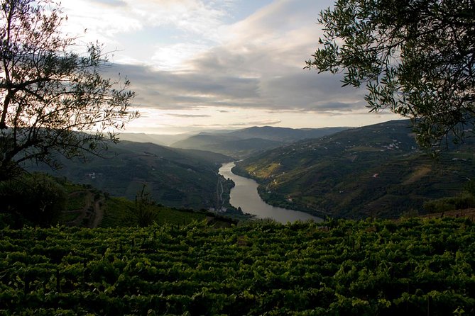 Porto: Day Trip to Douro including lunch and Rivercruise - Guide quality and language: how to protect your experience