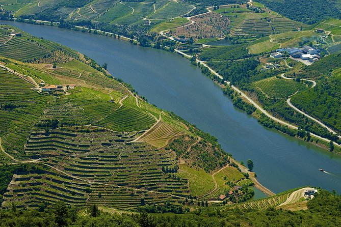 Porto: Day Trip to Douro including lunch and Rivercruise - Pinhão: the cruise stop that turns scenery into an experience