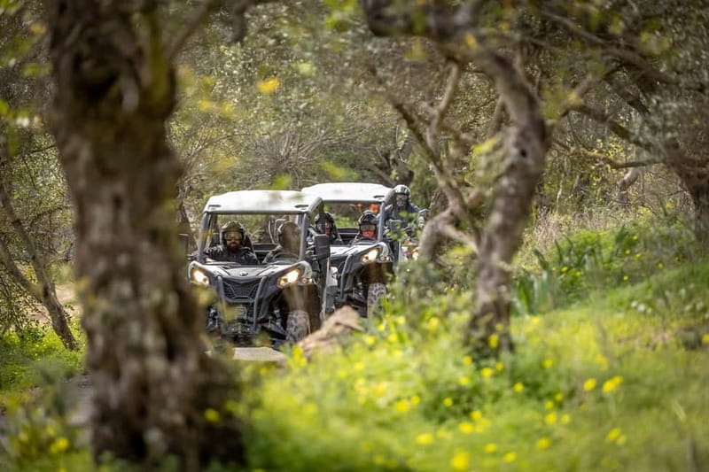Porto: Dirt and Dust Tour by Oporto Buggy - Key things that make this tour worth it