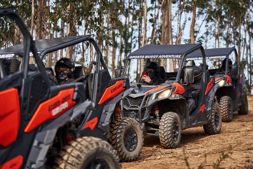 Porto: Dirt and Dust Tour by Oporto Buggy - Who this buggy tour is best for
