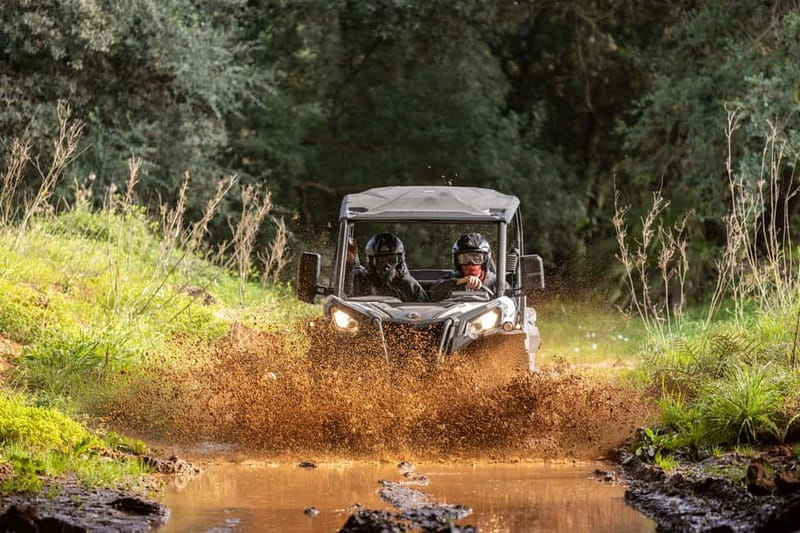 Porto: Dirt and Dust Tour by Oporto Buggy - What the Rally de Portugal shakedown adds to the ride
