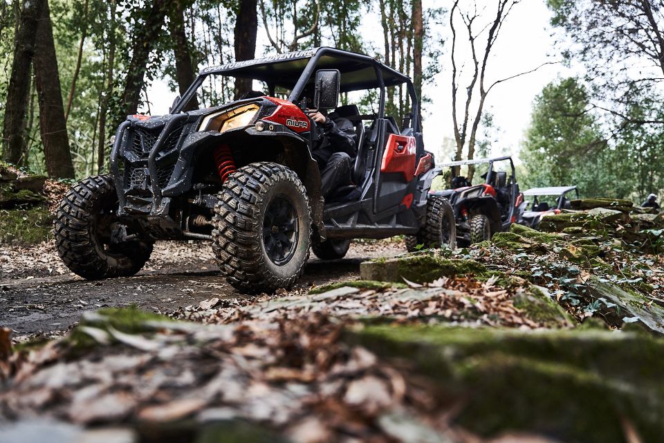 Porto: Dirt and Dust Tour by Oporto Buggy - The driving experience: short tour, big emotion