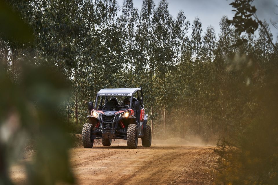 Porto: Dirt and Dust Tour by Oporto Buggy - Included vs not included: plan your day accordingly