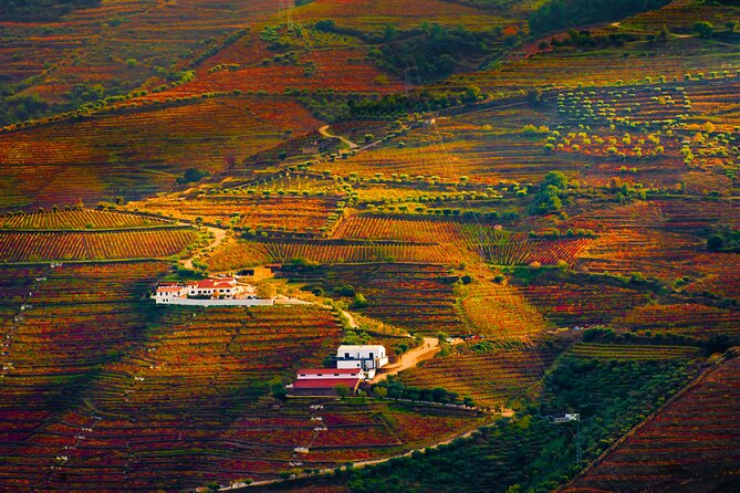 Porto: Douro Valley, 2 Wine Regions, Sommelier, Boat Trip & Lunch - Miradouro Torguiano: a 10-minute picture stop that keeps the momentum