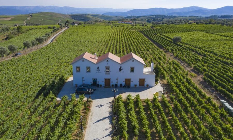 Porto: Douro Valley Day Trip with Lunch and Favaios Village - Key highlights I think you’ll care about