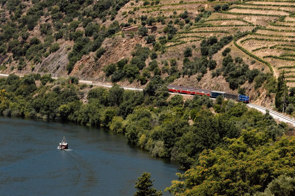 Porto: Douro Valley Full-Day Boat, Train, and Lunch Tour - Key highlights worth getting excited about