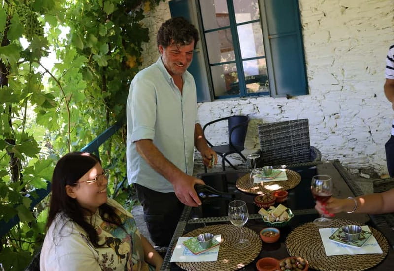 Porto: DOURO VALLEY Half-day Tour - Key Highlights at a Glance