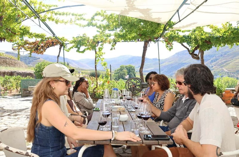 Porto: DOURO VALLEY Half-day Tour - What to Bring and How to Prep for a Smooth Day